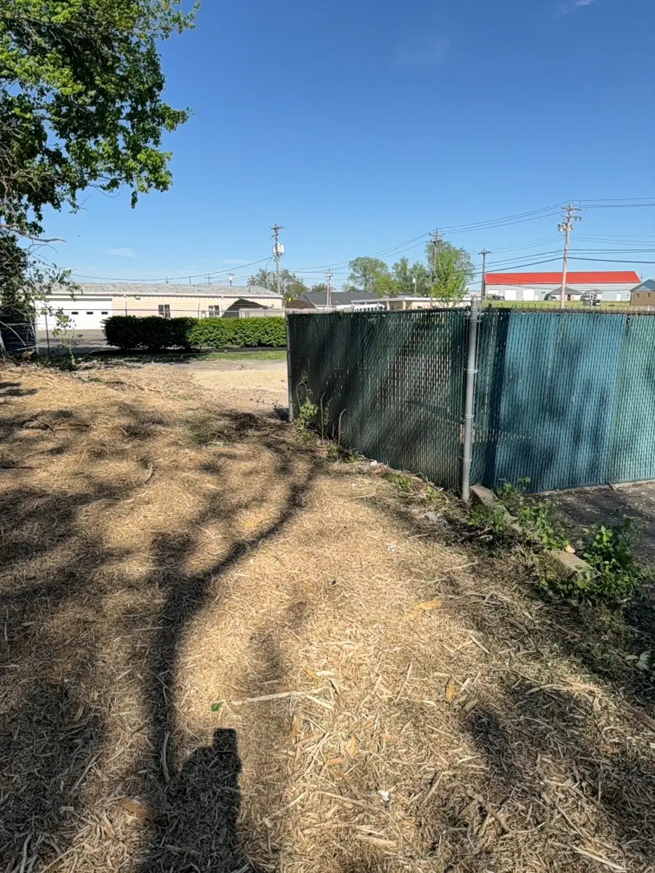 Cleared, mulched ground beside a chain-link fence behind a commercial building