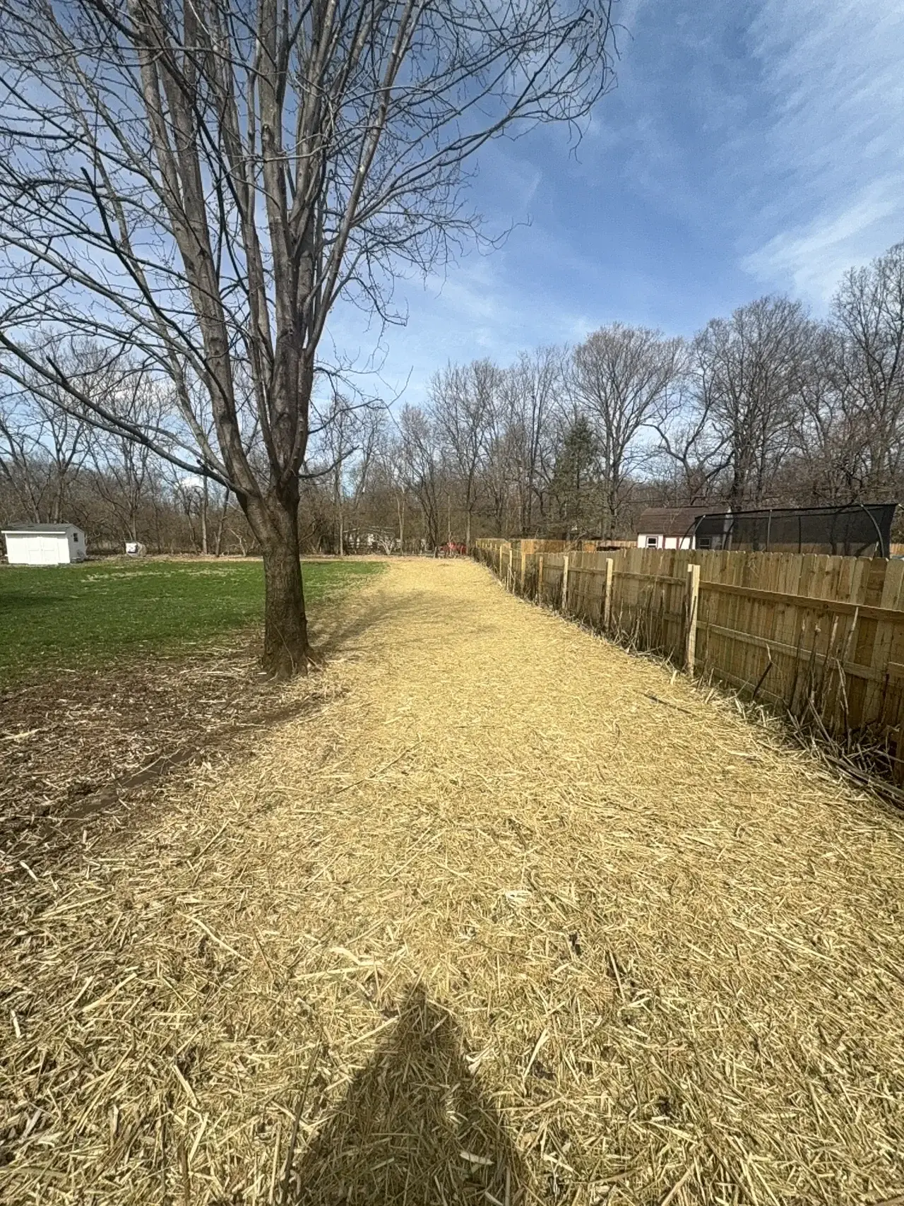 Freshly mulched strip along a wooden privacy fence after clearing